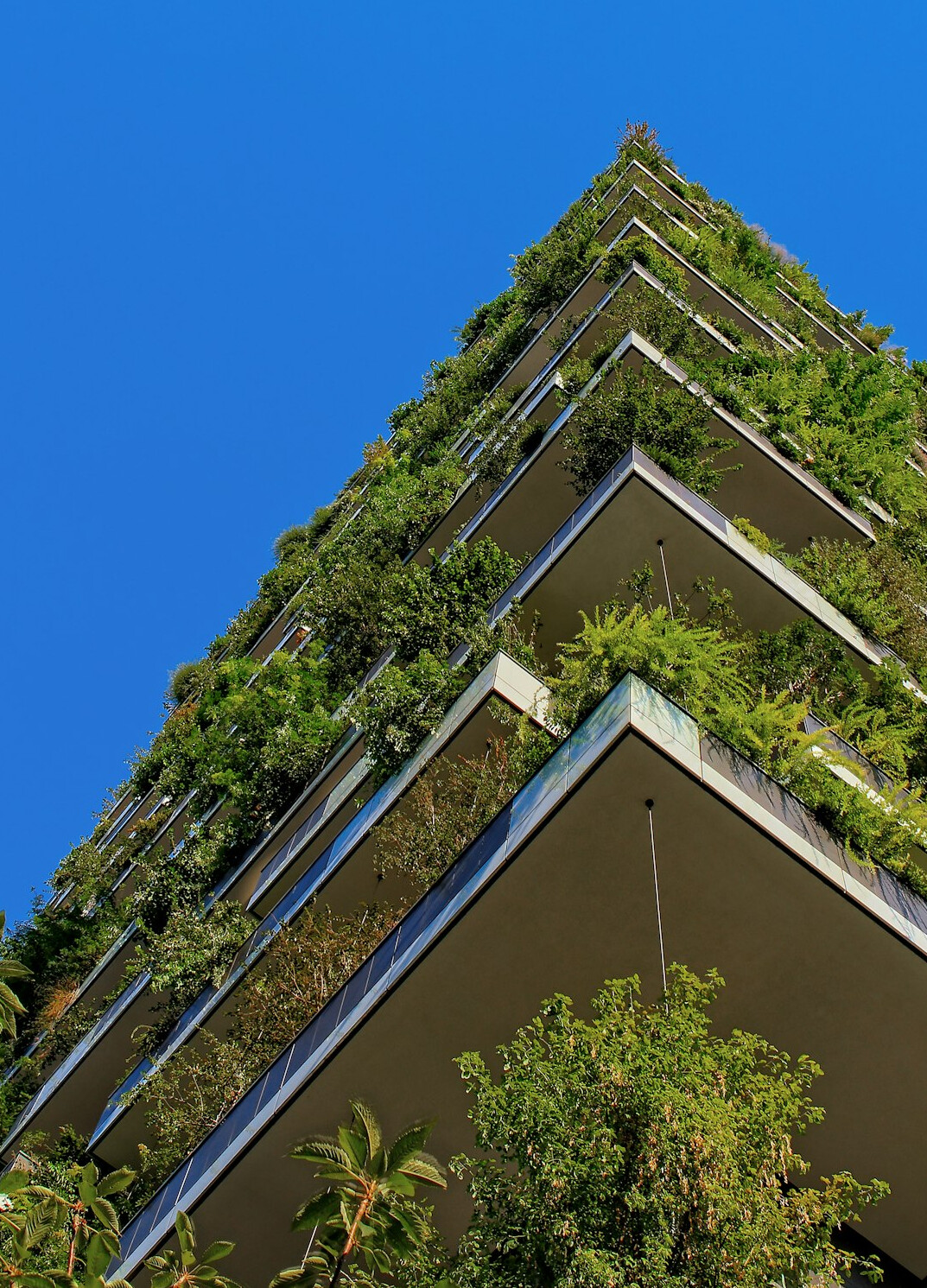 sustainable building design