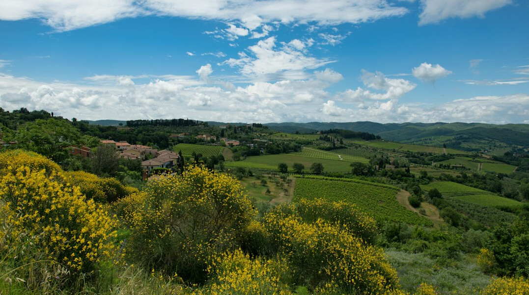 Rural countryside estate with rolling green fields and eucalyptus trees